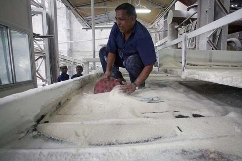 Dalmia Bharat Sugar plans to double annual ethanol manufacturing capacity to 15 crores litres